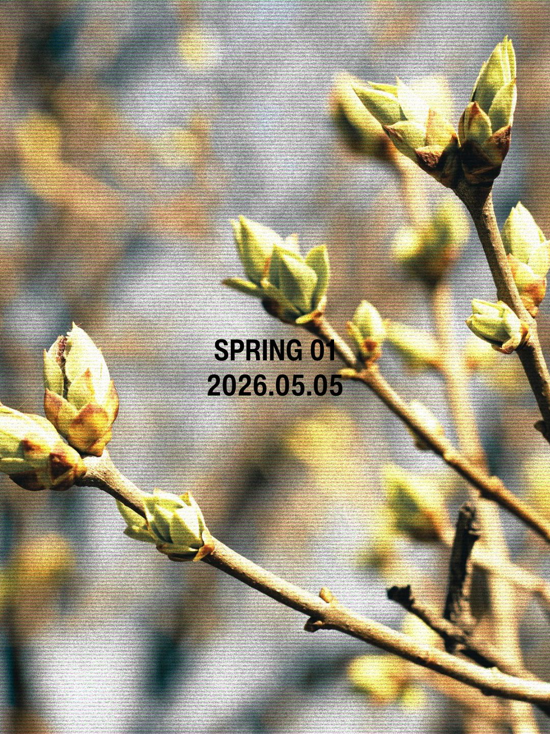 SPRING 01 Playlist