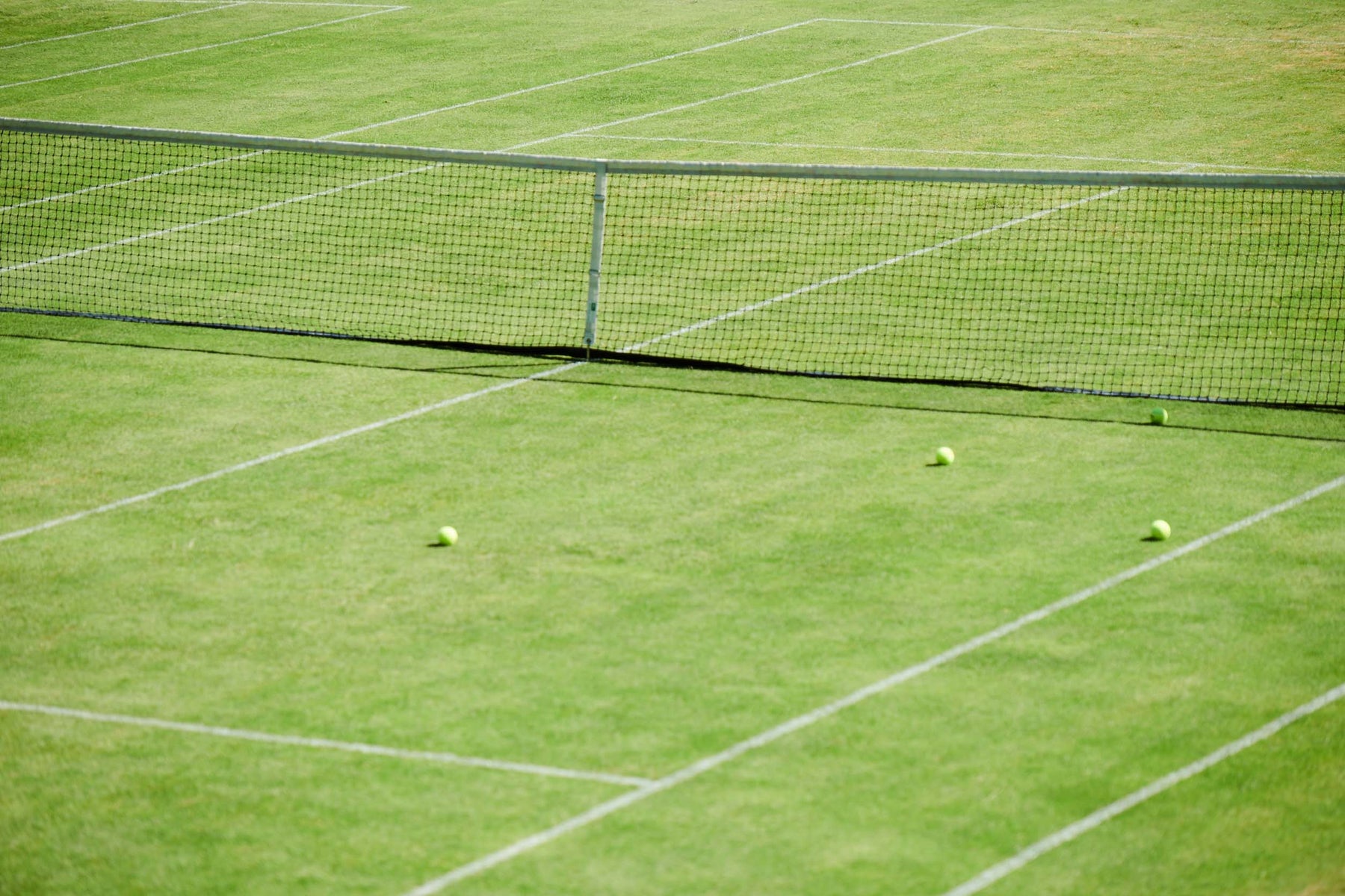 Contact Us – Sigrún